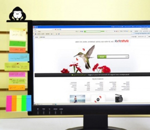 Панель на монитор для стикеров "Обзьянка" (лев)  ― Интернет-магазин оригинальных подарков Tuk-i-tuk.ru